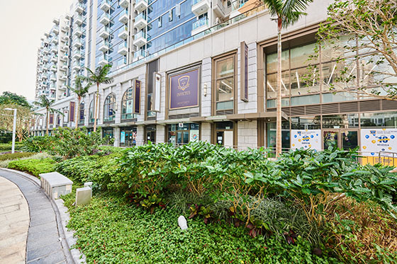 schools in hong kong, international schools for primary school students, international school with academic excellence, school&#039;s mission for affordable education, school integrates elements of supportive learning environment, enabling an inclusive educational philosophy