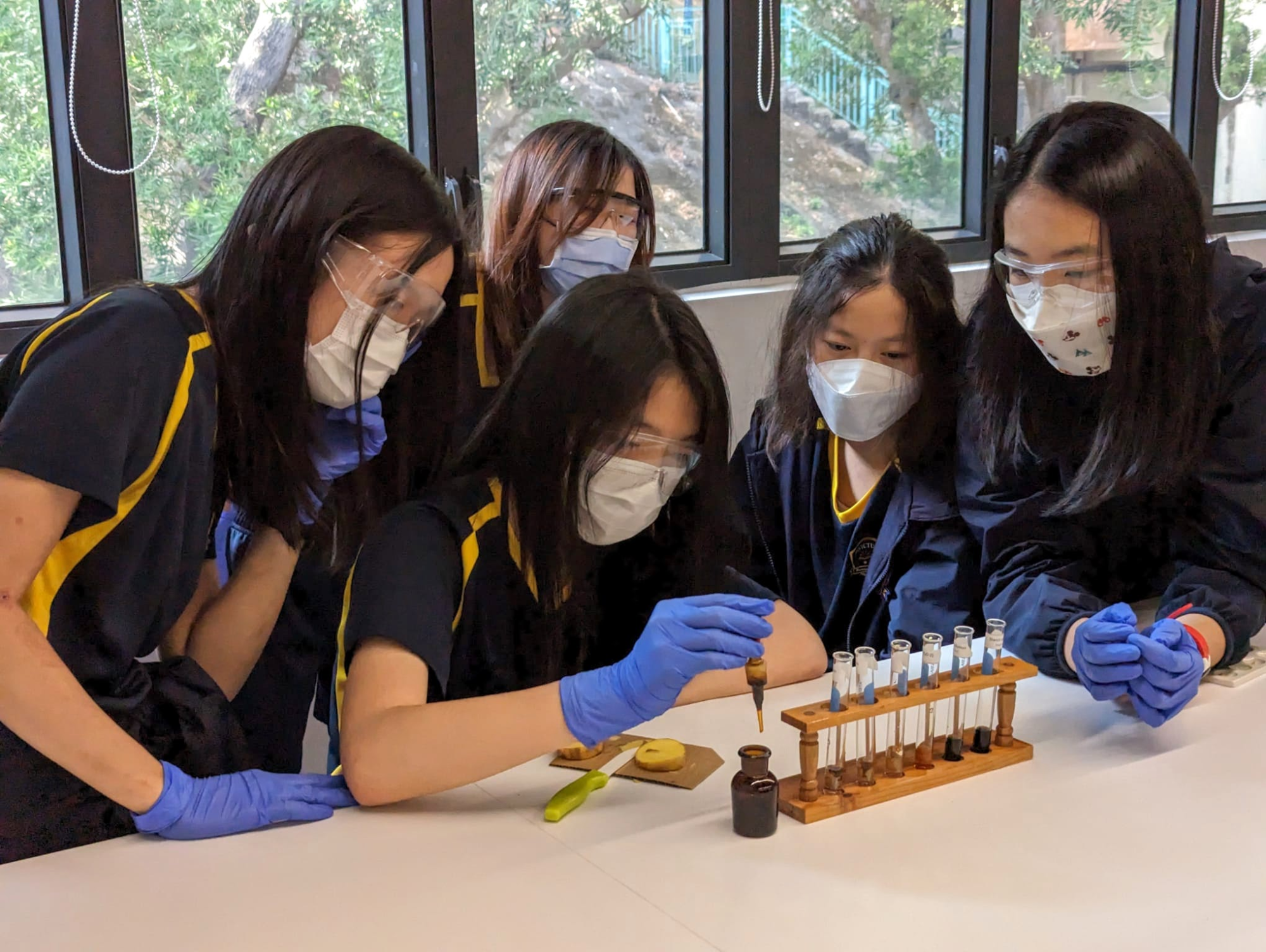 international secondary school, hong kong international school, private independent school, international school hong kong